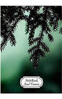Pine: Journal Notebook Diary: Pocket Notebook Journal Diary, 110 Pages, 7 X 10 (Notebook Lined, Blank No Lined)