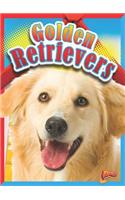 Golden Retrievers
