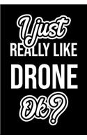 I Just Really Like Drone Ok?
