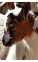 Goats Notebook