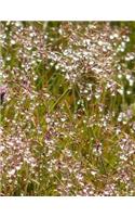 Meadow Notebook Large Size 8.5 x 11 Ruled 150 Pages Softcover