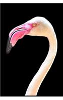 Flamingo Notebook