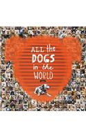 All the Dogs in the World