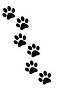 Paw Print Tracks