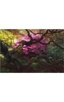 A Gardener's Labyrinth: Portraits of People, Plants & Places