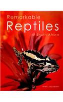 Remarkable Reptiles of South Africa