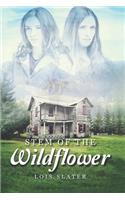 Stem of the Wildflower