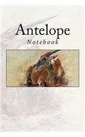 Antelope