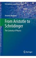 From Aristotle to Schrödinger: The Curiosity of Physics