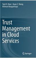 Trust Management in Cloud Services