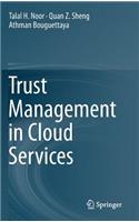 Trust Management in Cloud Services