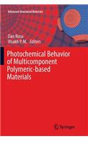 Photochemical Behavior of Multicomponent Polymeric-Based Materials