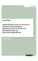 Multikulturelles Lernen in Europa am Beispiel des Kopenhagener Modellversuches zur Berufs- und Bildungsberatung von Einwandererjugendlichen