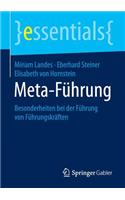 Meta-Führung