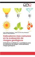 Indicadores Mas Comunes En La Evaluacion de Riesgos Geologicos