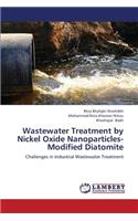 Wastewater Treatment by Nickel Oxide Nanoparticles-Modified Diatomite