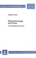 Phaenomenologie Der Praxis