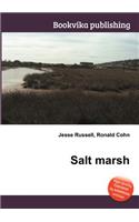 Salt Marsh