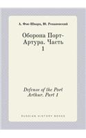 Defense of the Port Arthur. Part 1