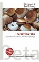 Paradrillia Felix: (English)