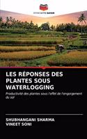 Les Réponses Des Plantes Sous Waterlogging