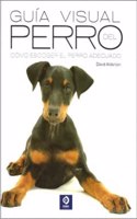 Guia visual del perro: como escoger al perro adecuado