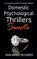 Domestic Psychological Thrillers Bundle