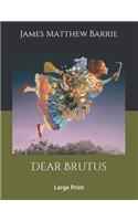 Dear Brutus: Large Print