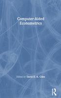 Computer-Aided Econometrics