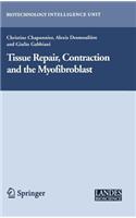 Tissue Repair, Contraction and the Myofibroblast