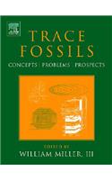 Trace Fossils