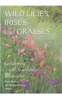 Wild Lilies, Irises, and Grasses
