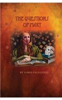 Questions of Mary