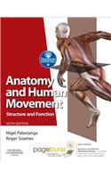 Anatomy and Human Movement E-Book