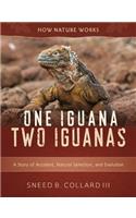 One Iguana, Two Iguanas