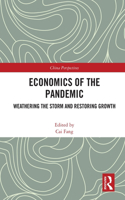 Economics of the Pandemic