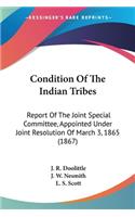 Condition Of The Indian Tribes