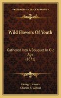Wild Flowers Of Youth