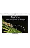 Macros from the World of Insects 2018: The Realm of Insects is Huge. This Calendar Allows a Fascinating Look Inside the Details of This World.(Calvendo Animals)