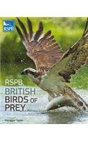 RSPB British Birds of Prey