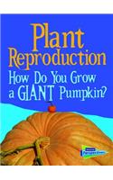 Plant Reproduction: How Do You Grow a Giant Pumpkin?