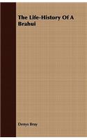 The Life-History Of A Brahui