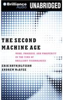 The Second Machine Age