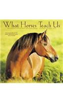 What Horses Teach Us Mini 2019 Wall Calendar