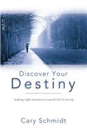 Discover Your Destiny (2nd Edition)