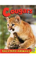 Cougars