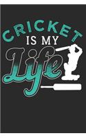 Cricket