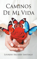 Caminos De Mi Vida