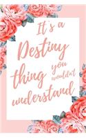 It's a Destiny Thing You Wouldn't Understand: 6x9 Dot Bullet Notebook/Journal Funny Gift Idea