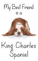 My best Friend is a King Charles Spaniel
